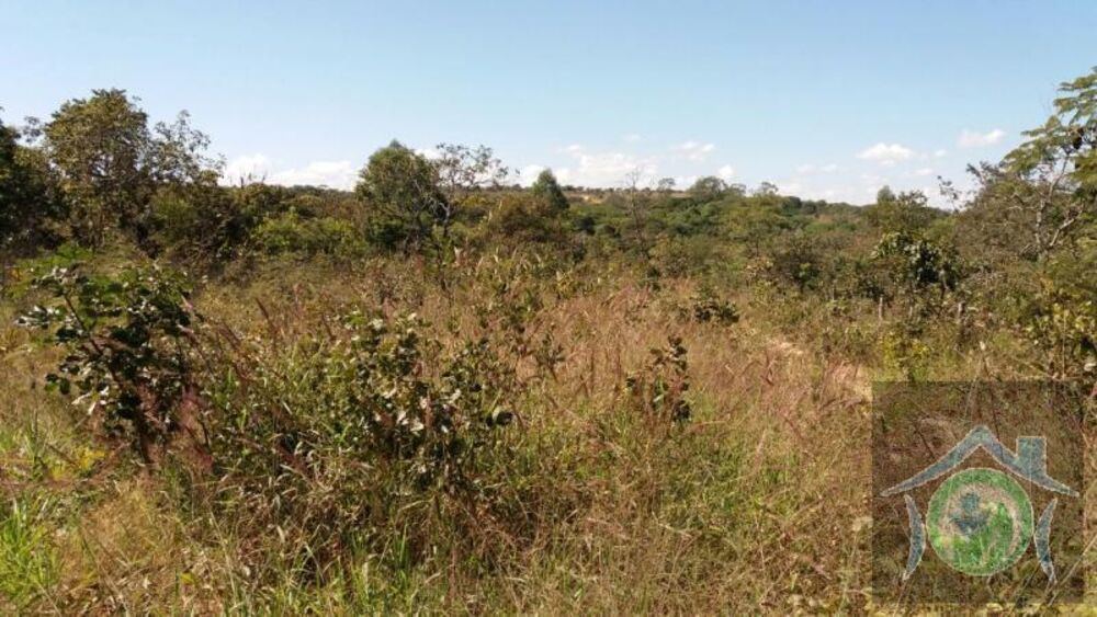Chácara, 4591 m² - Foto 3