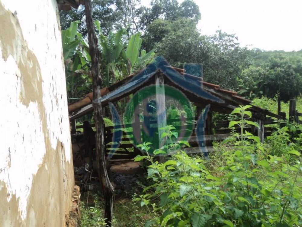 Fazenda à venda - Foto 5