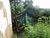 Fazenda-Sítio-Chácara - Foto 5