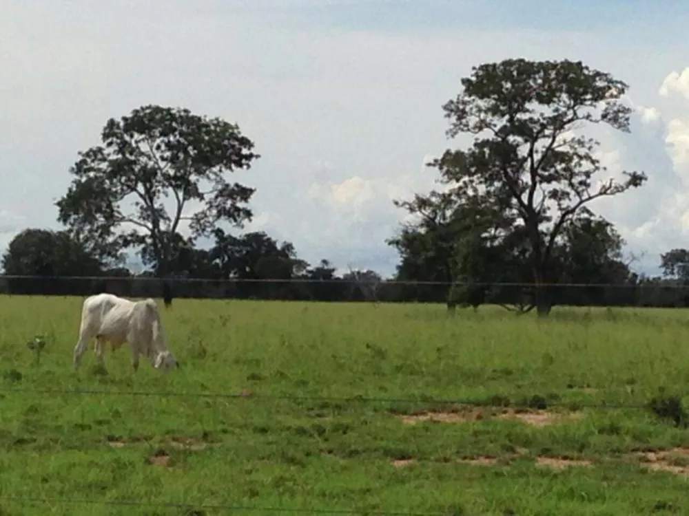 Chácara à venda - Foto 1