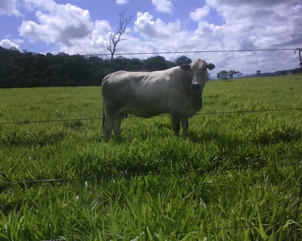 Fazenda à venda, 336m² - Foto 2