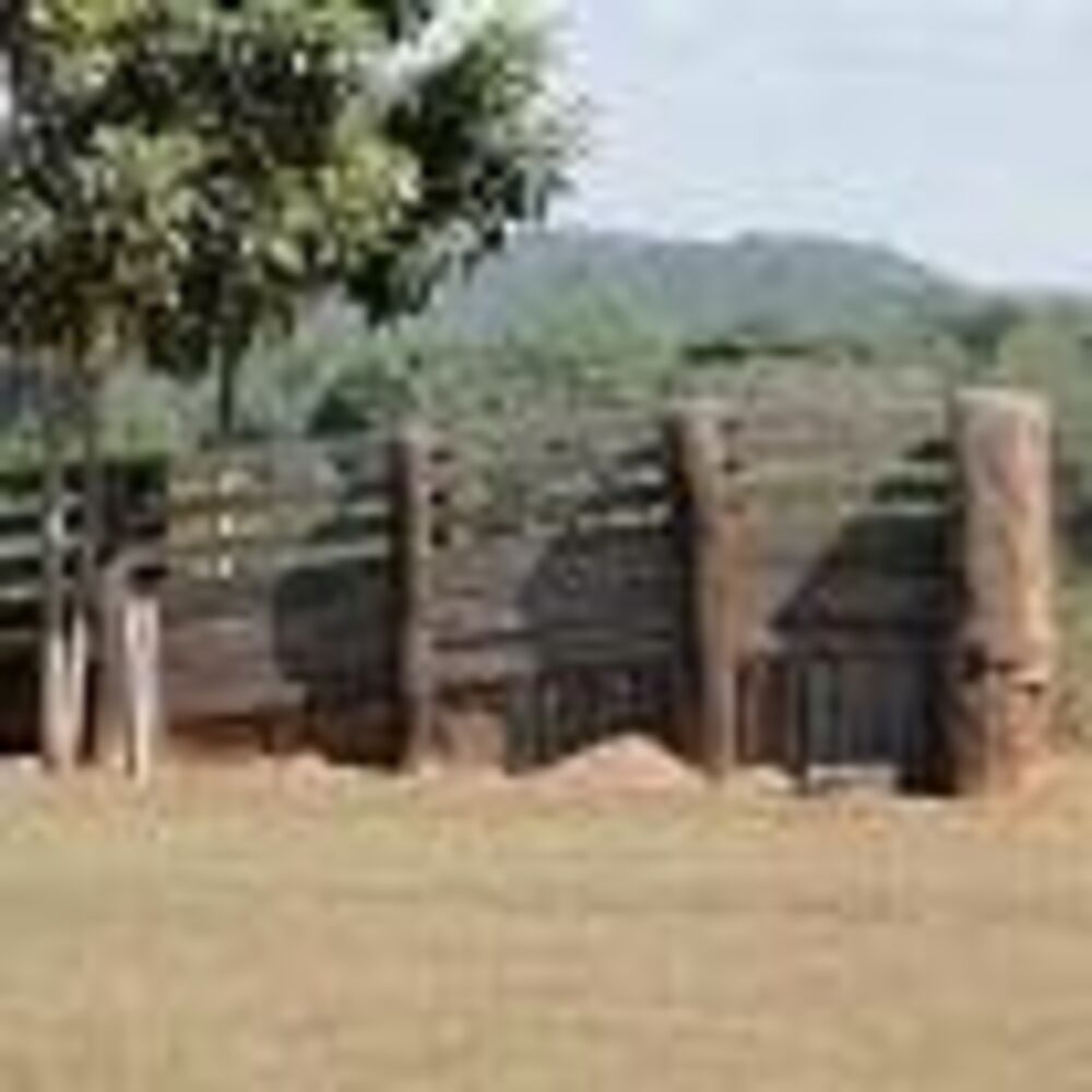 Fazenda - Foto 1