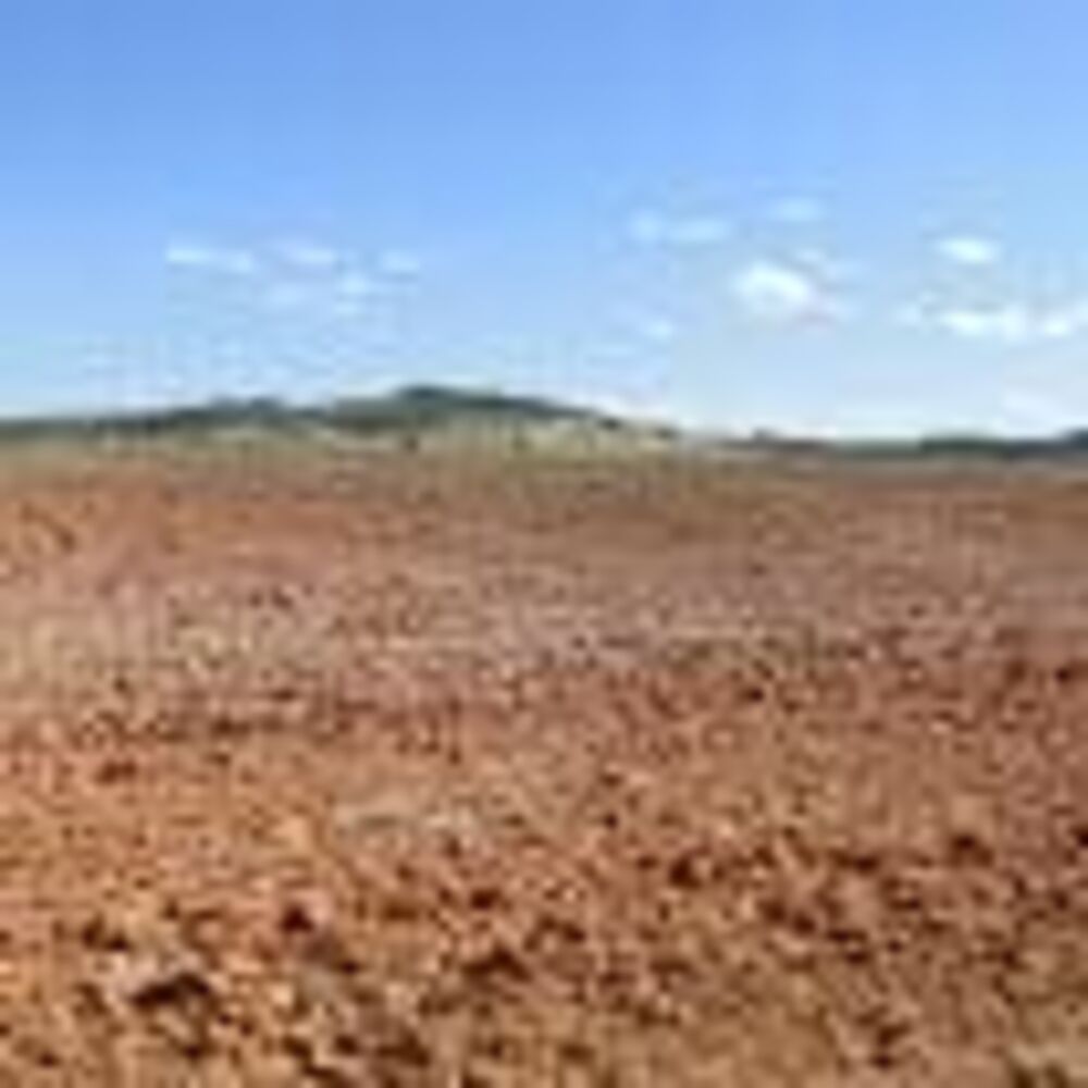 Fazenda - Foto 4