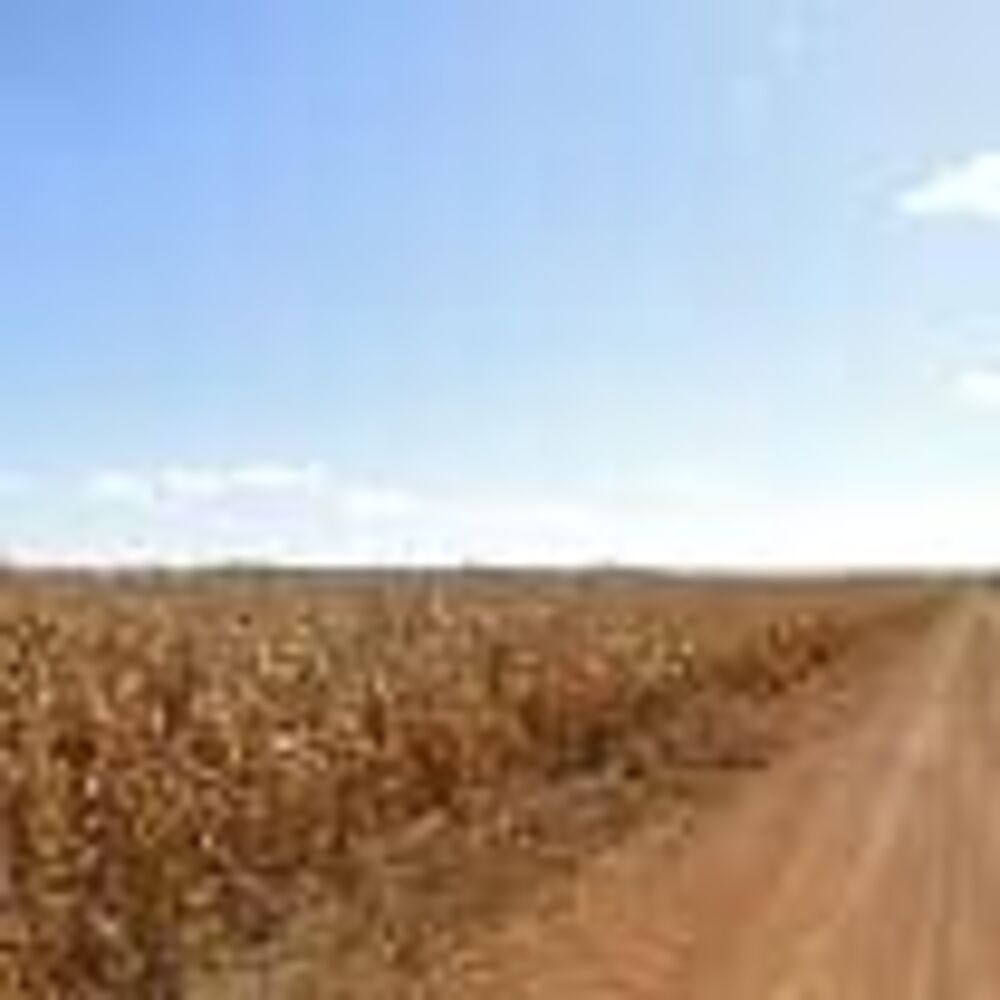 Fazenda - Foto 2