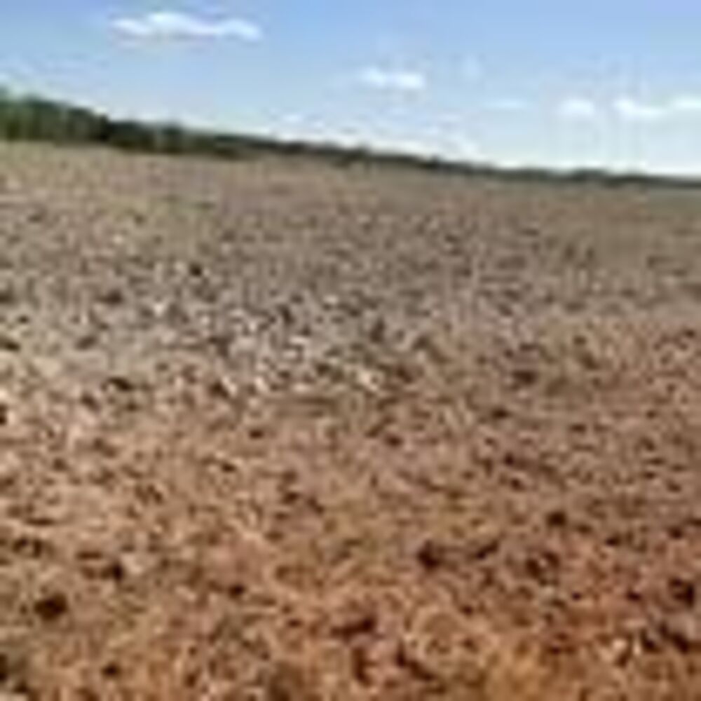 Fazenda - Foto 3