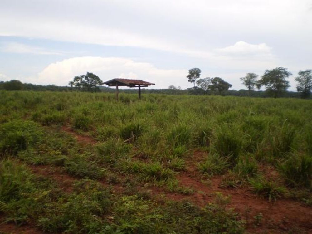 Fazenda, 1038 m² - Foto 3