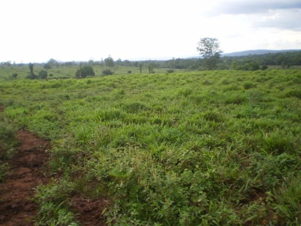 Fazenda, 1038 m² - Foto 6