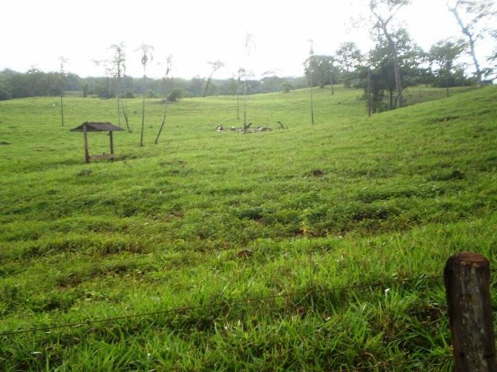 Fazenda, 1038 m² - Foto 7