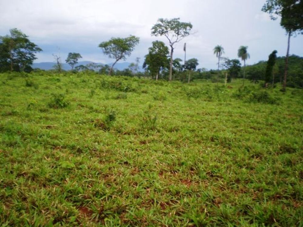 Fazenda, 1038 m² - Foto 2