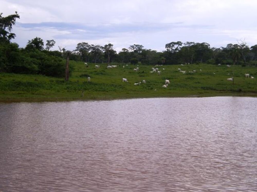 Fazenda, 1038 m² - Foto 4