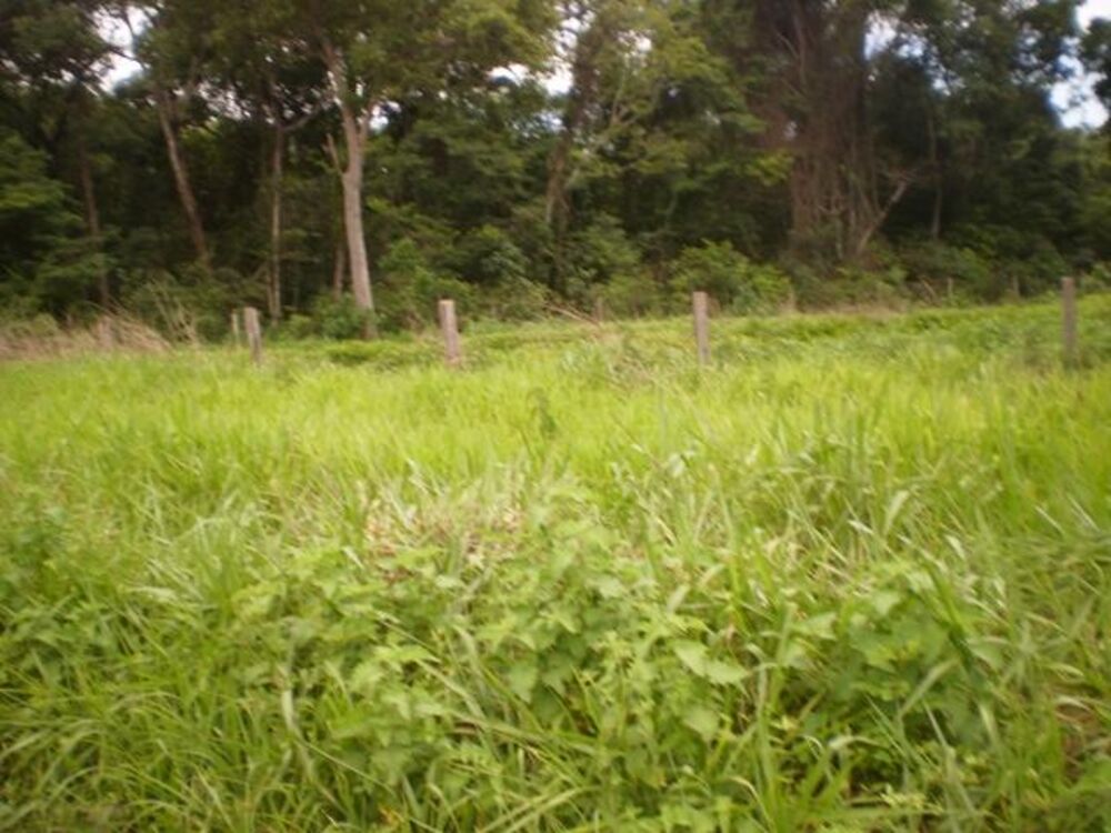 Fazenda, 1038 m² - Foto 1