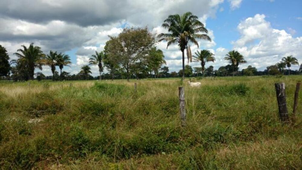 Fazenda - Foto 3