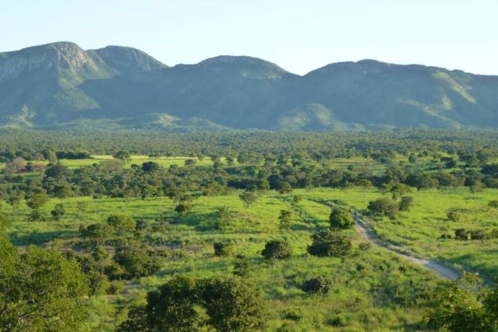 Fazenda, 1200 m² - Foto 2