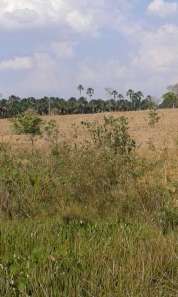 Fazenda, 191 m² - Foto 2