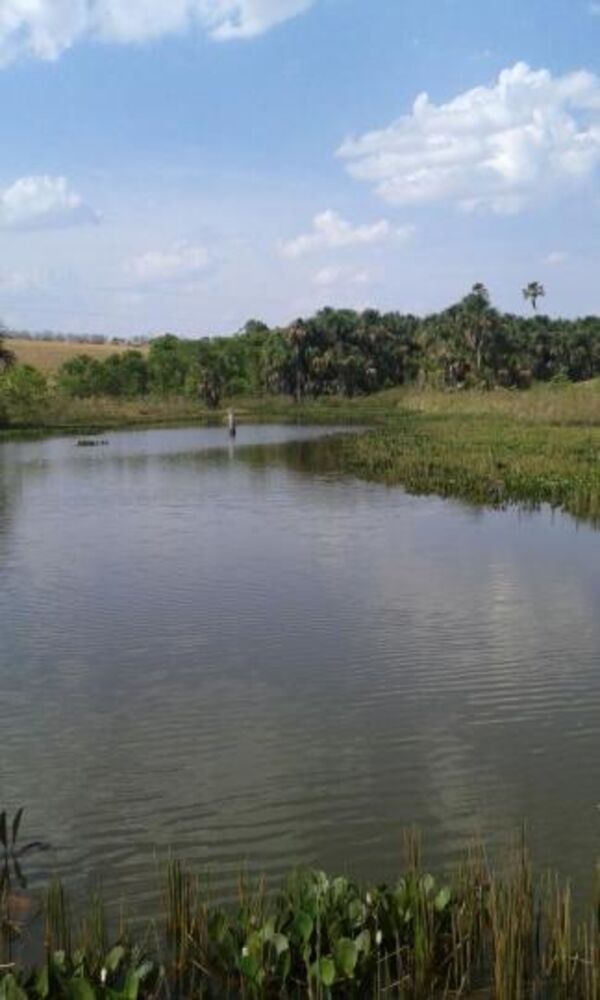 Fazenda, 191 m² - Foto 1