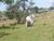 Fazenda, 33 m² - Foto 2