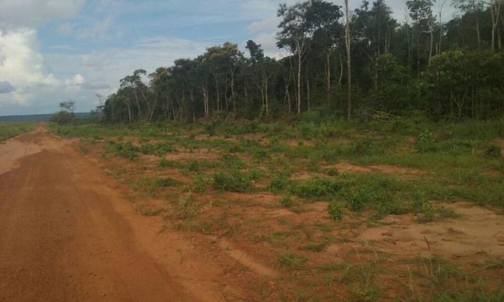 Fazenda à venda - Foto 3