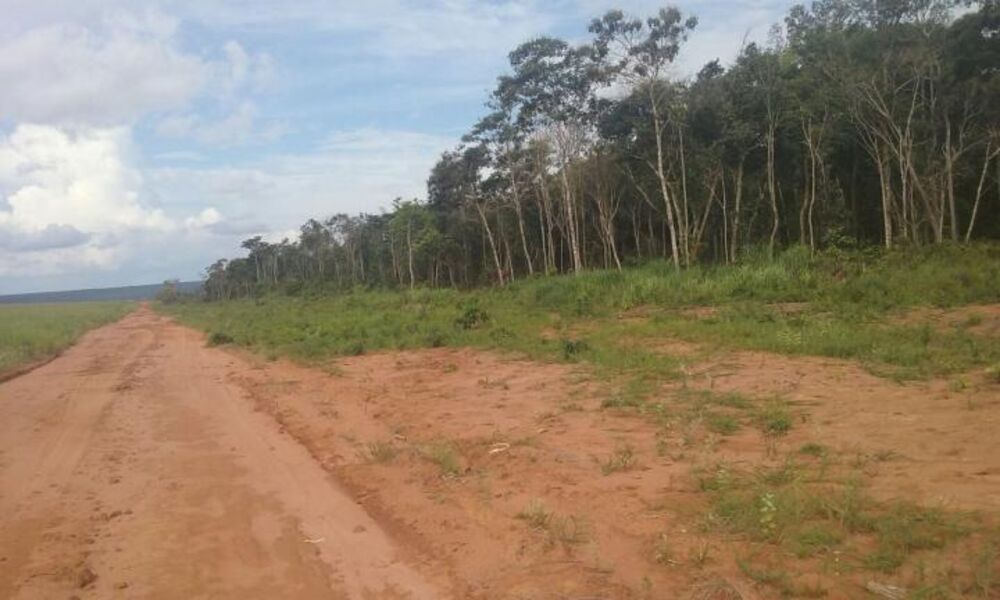 Fazenda à venda - Foto 2