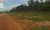 Fazenda - Foto 3