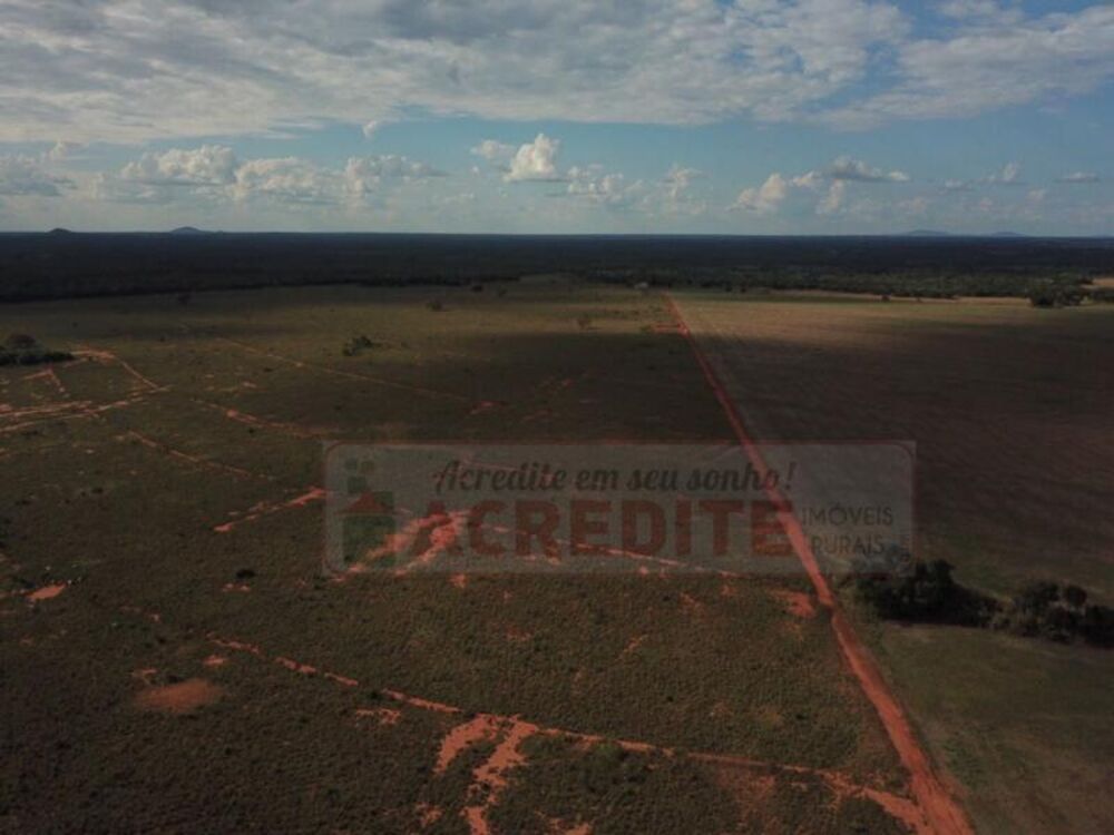 Fazenda à venda - Foto 9
