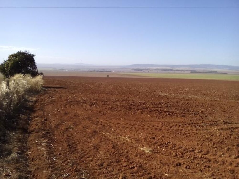 Fazenda, 250 m² - Foto 3