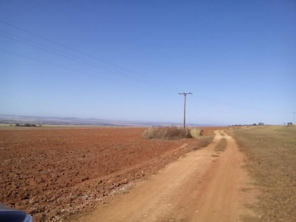 Fazenda, 250 m² - Foto 4