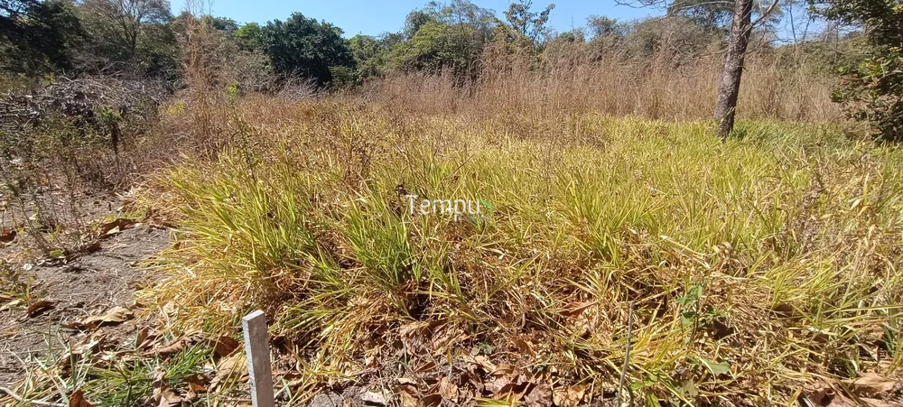 Chácara, 3 hectares - Foto 16