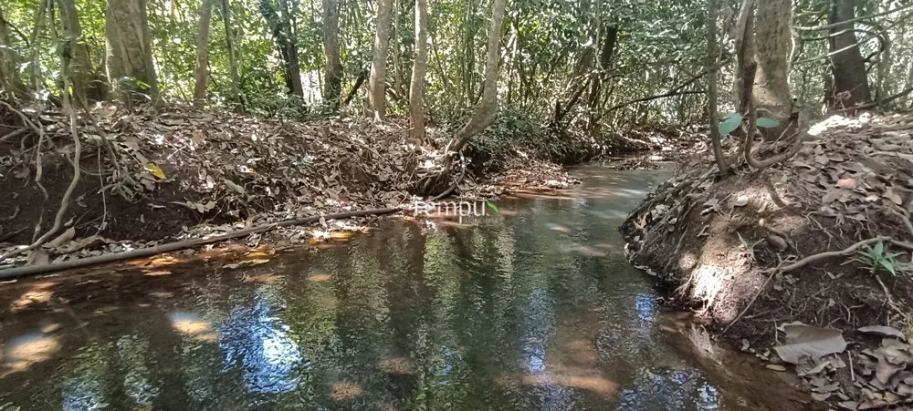 Chácara, 3 hectares - Foto 3