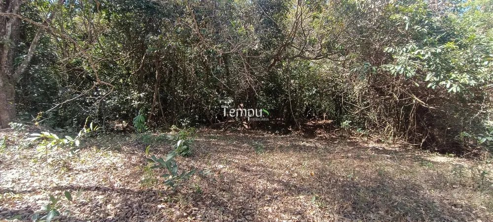 Chácara, 3 hectares - Foto 4