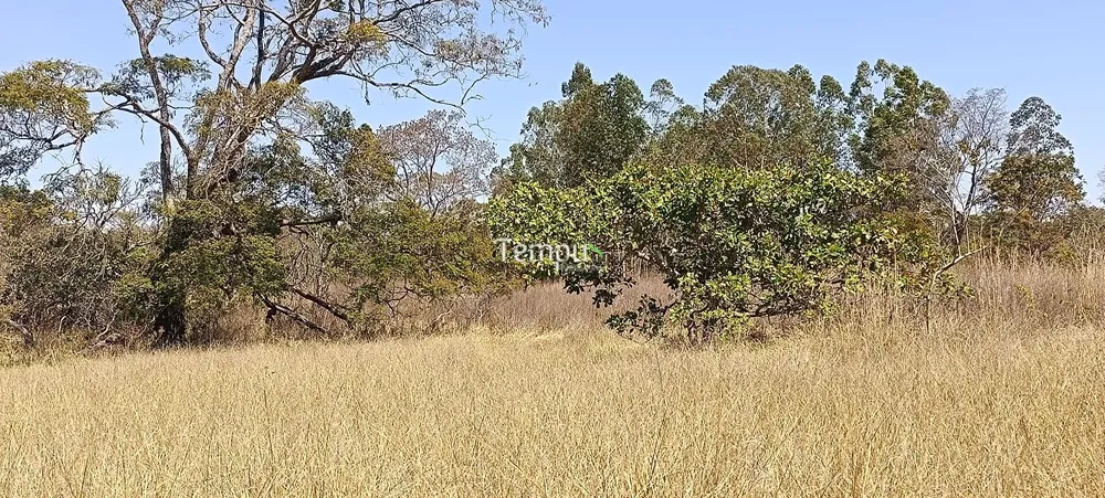 Chácara, 3 hectares - Foto 6