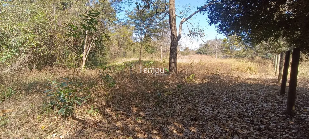 Chácara, 3 hectares - Foto 10