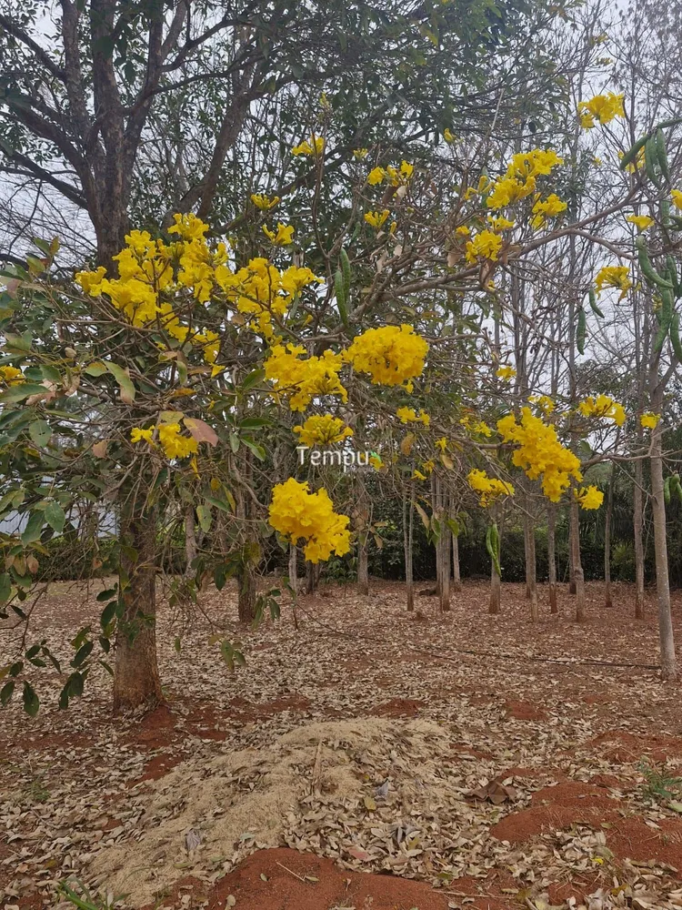 Chácara, 3 quartos, 5000 m² - Foto 9