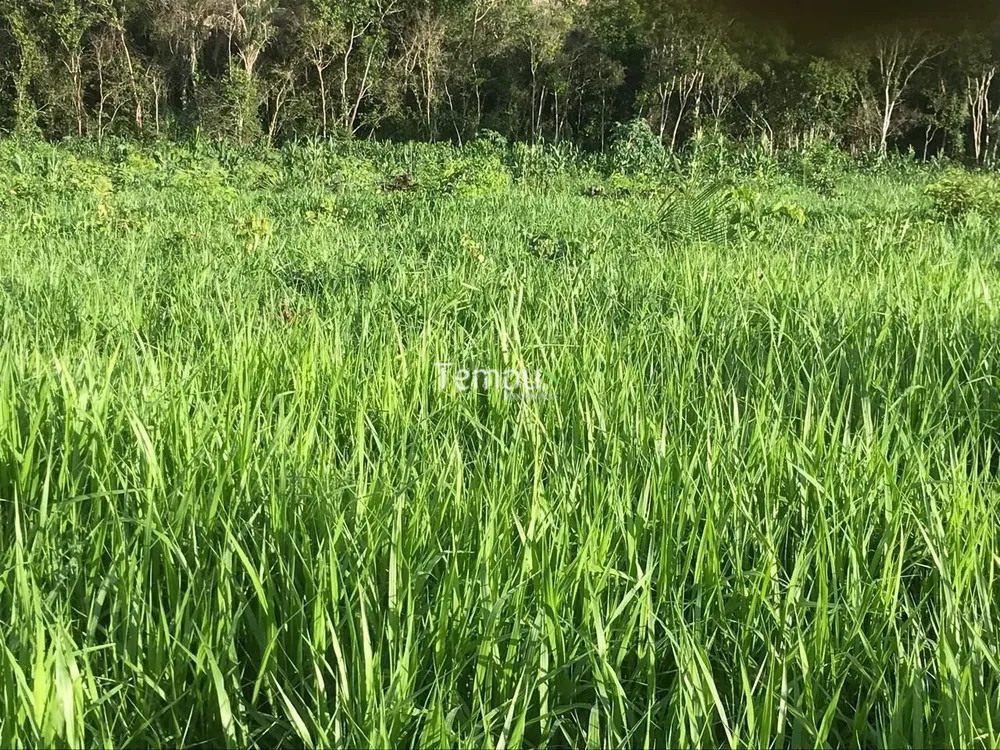 Fazenda, 96 hectares - Foto 4