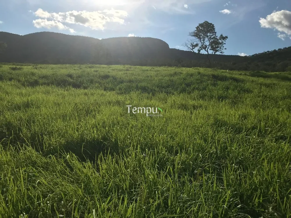 Fazenda, 96 hectares - Foto 9