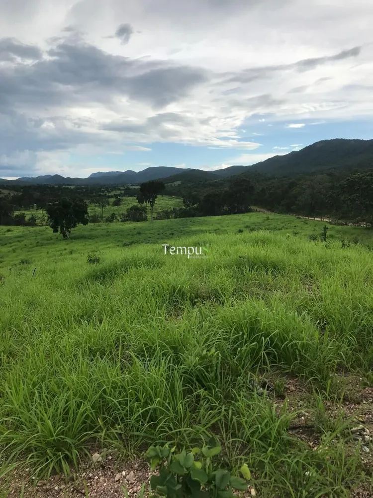 Fazenda, 96 hectares - Foto 7