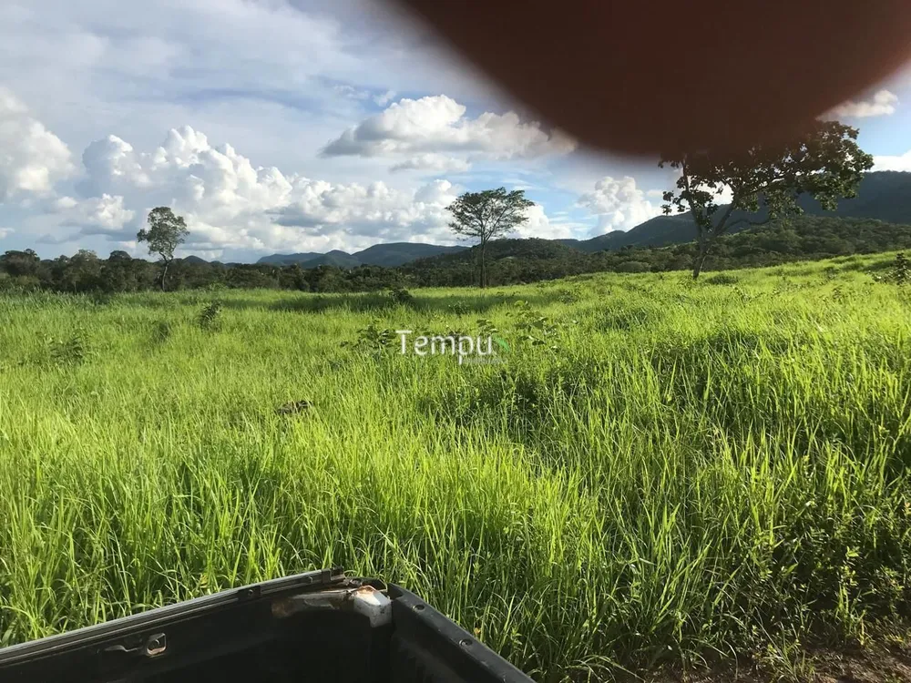 Fazenda, 96 hectares - Foto 10