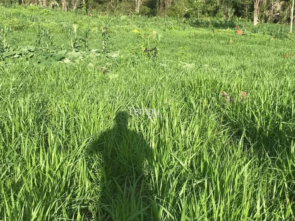Fazenda, 96 hectares - Foto 15