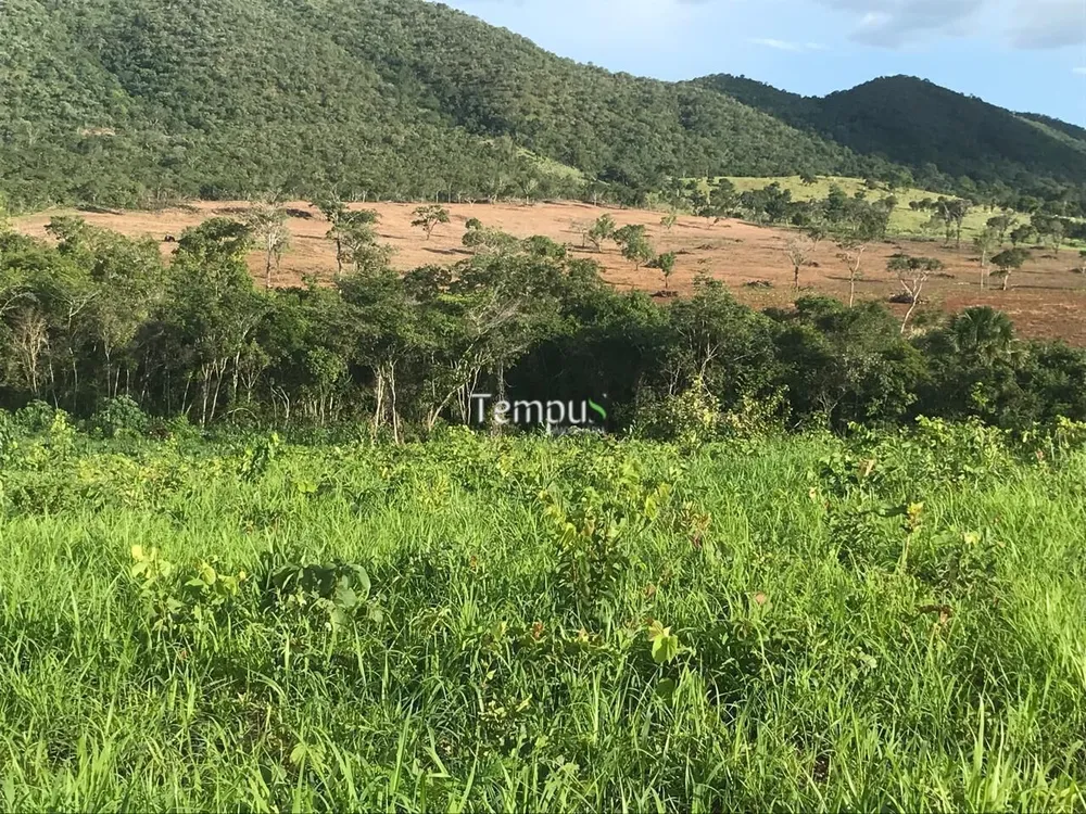 Fazenda, 96 hectares - Foto 12