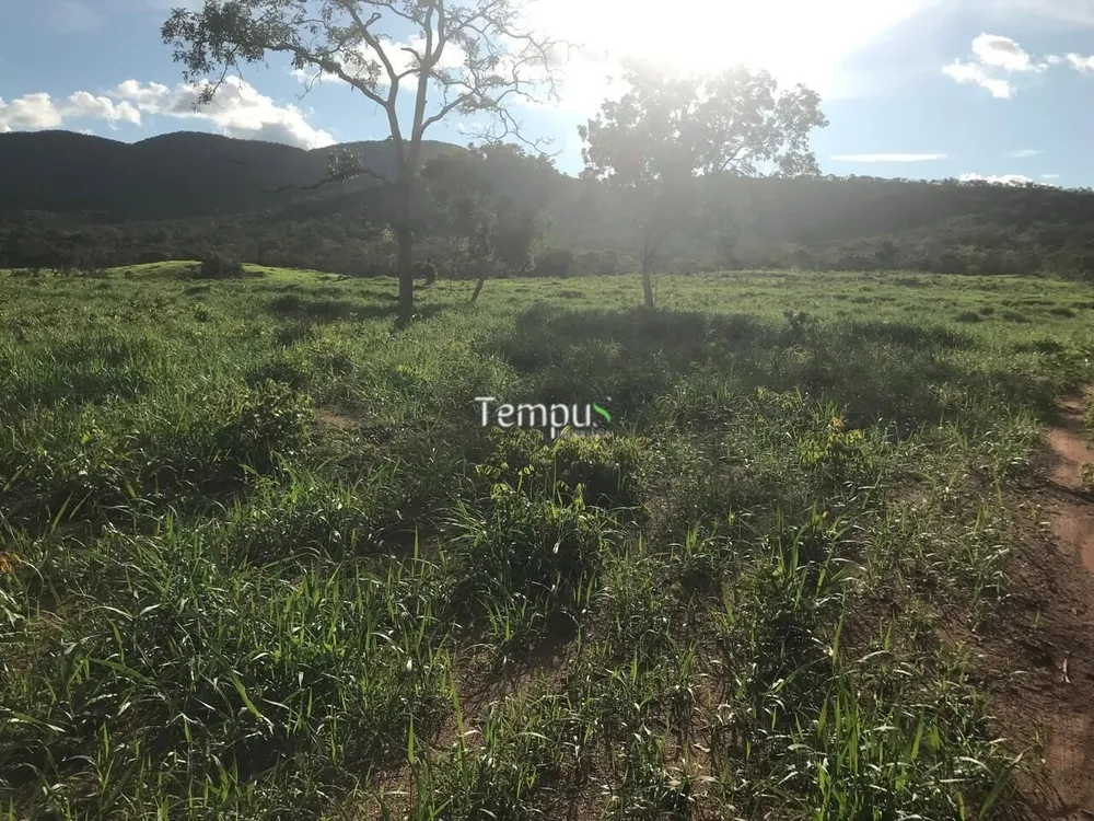 Fazenda, 96 hectares - Foto 8