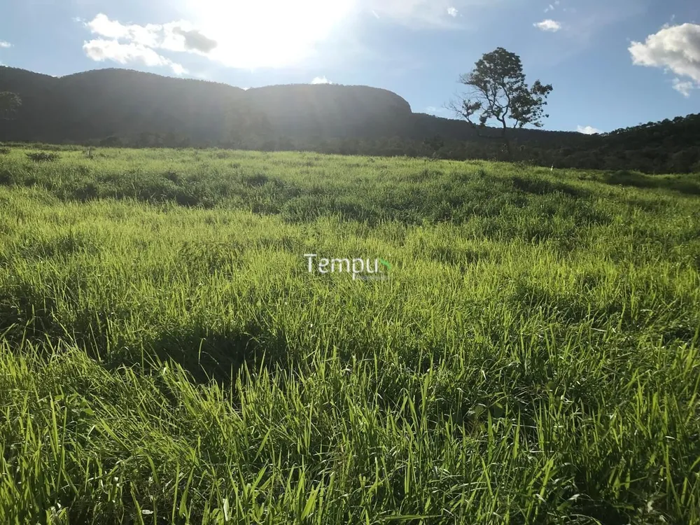 Fazenda, 96 hectares - Foto 3