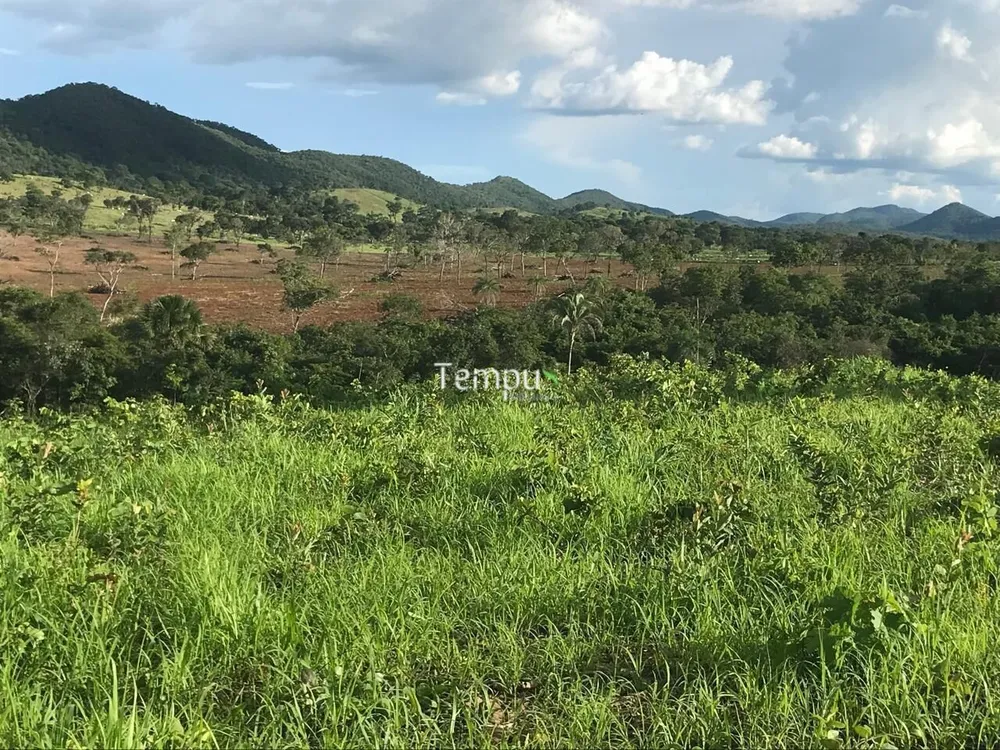 Fazenda, 96 hectares - Foto 14