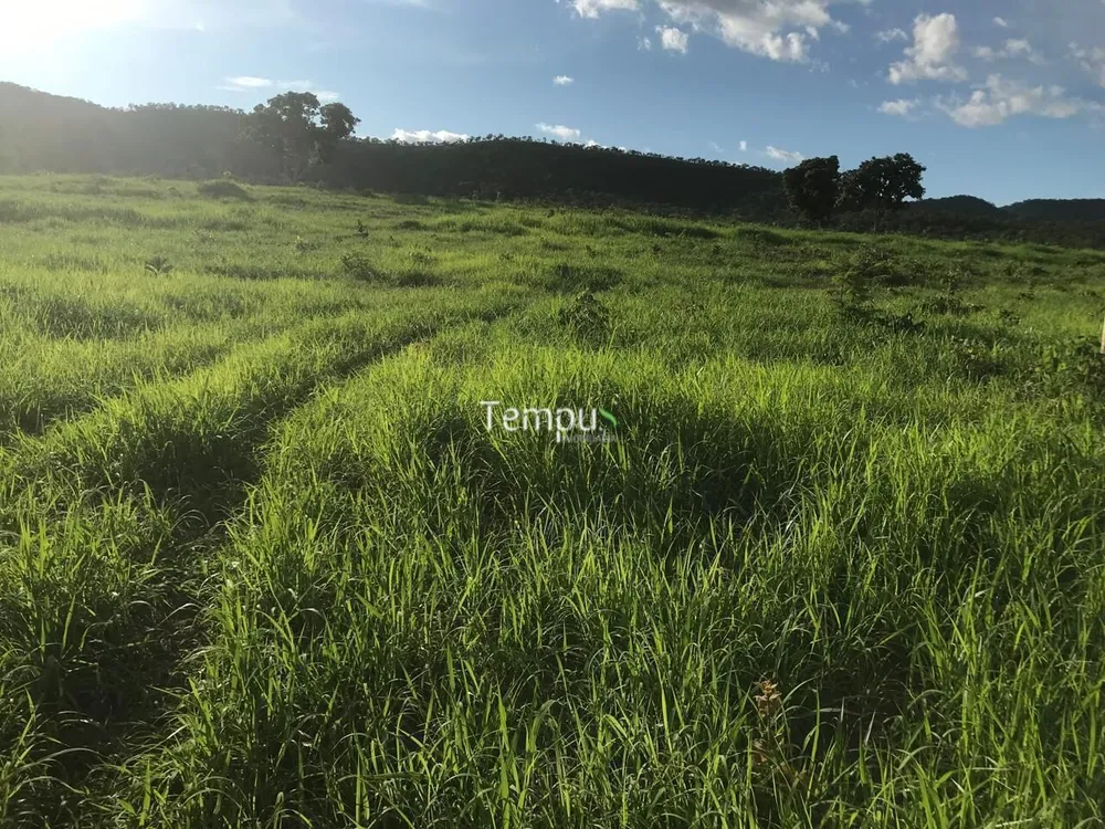Fazenda, 96 hectares - Foto 10