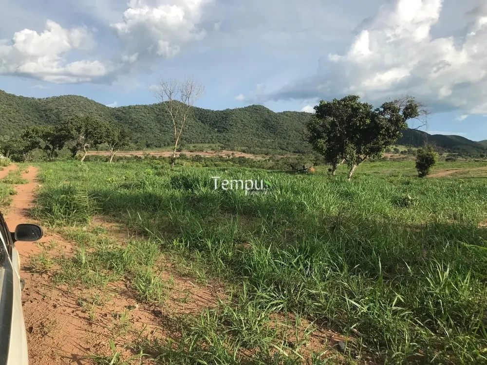 Fazenda, 96 hectares - Foto 7