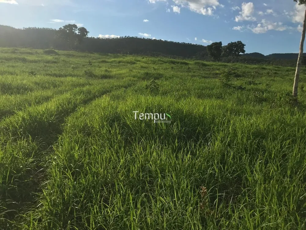 Fazenda, 96 hectares - Foto 5