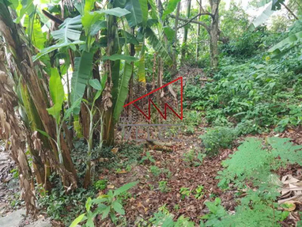 Terreno, 600 m² - Foto 10