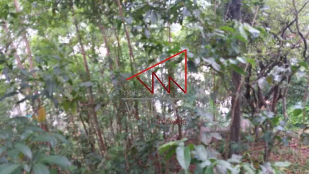 Terreno, 600 m² - Foto 11