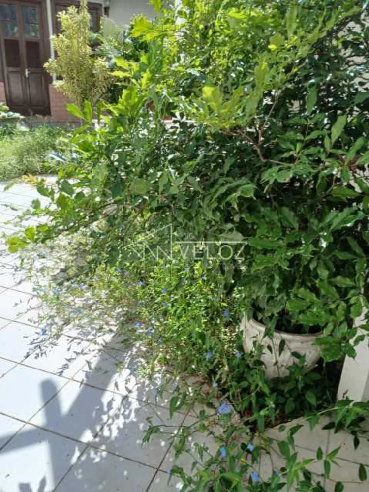 Sala-Conjunto, 302 m² - Foto 2