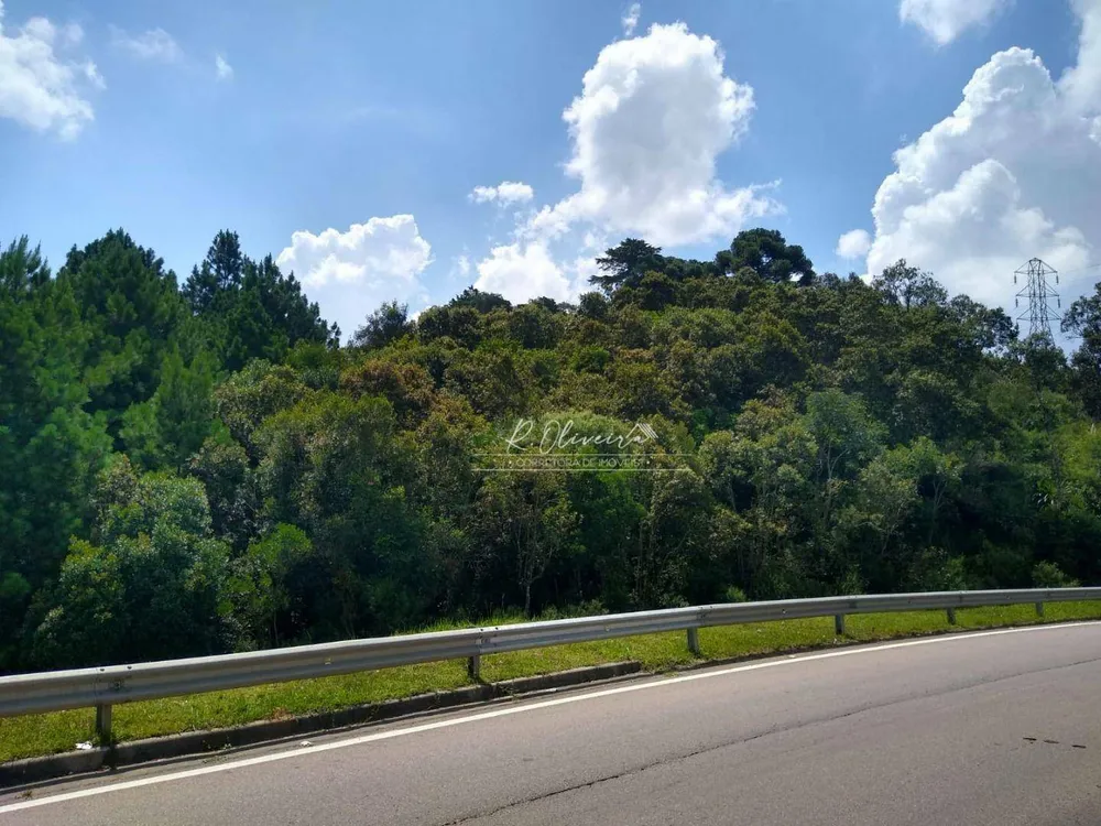 Terreno, 5549 m² - Foto 2