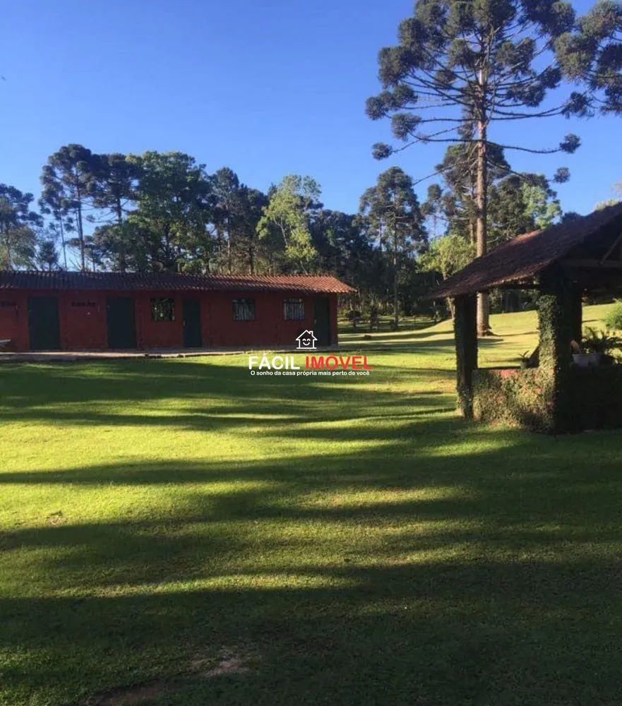 Sítio, 2 quartos, 480000000 hectares - Foto 4