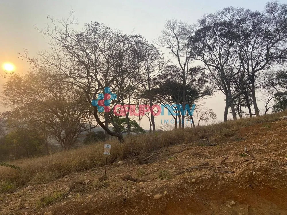 Terreno - Foto 6